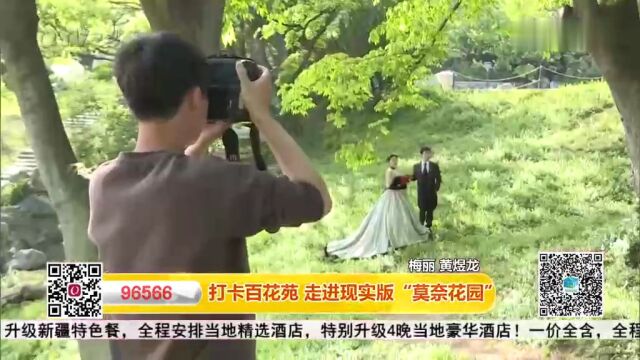 打卡青岛百花苑:走进现实版“莫奈花园”