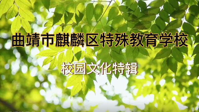 麒麟区特殊教育学校校园文化特辑