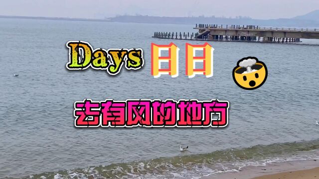 Days:去有风的地方