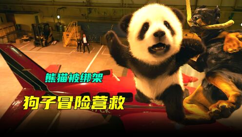 《2》熊猫宝宝遭坏人绑架，高智商警犬冒险营救《汪星卧底》