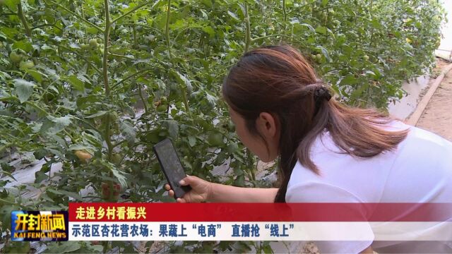 示范区杏花营农场:果蔬上“电商” 直播抢“线上”