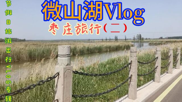 游微山湖Vlog(二)去枣庄,进微山湖,上微山岛,看美丽的芦苇荡