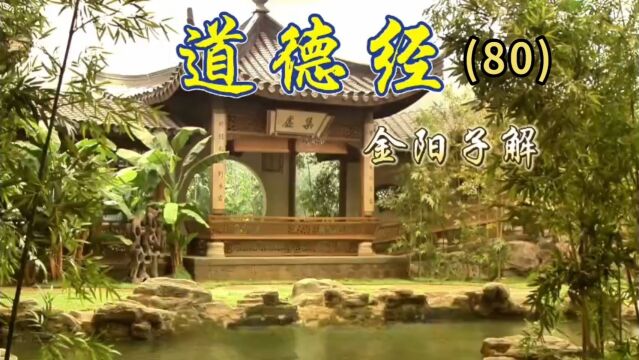 金阳子解《道德经》八十 小国寡民 无为而治|道元论坛包括:丹道修行、性命双修,实修实证,道学、儒学、佛学及百家论坛.