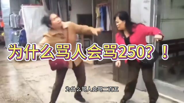 为什么骂人会骂250?