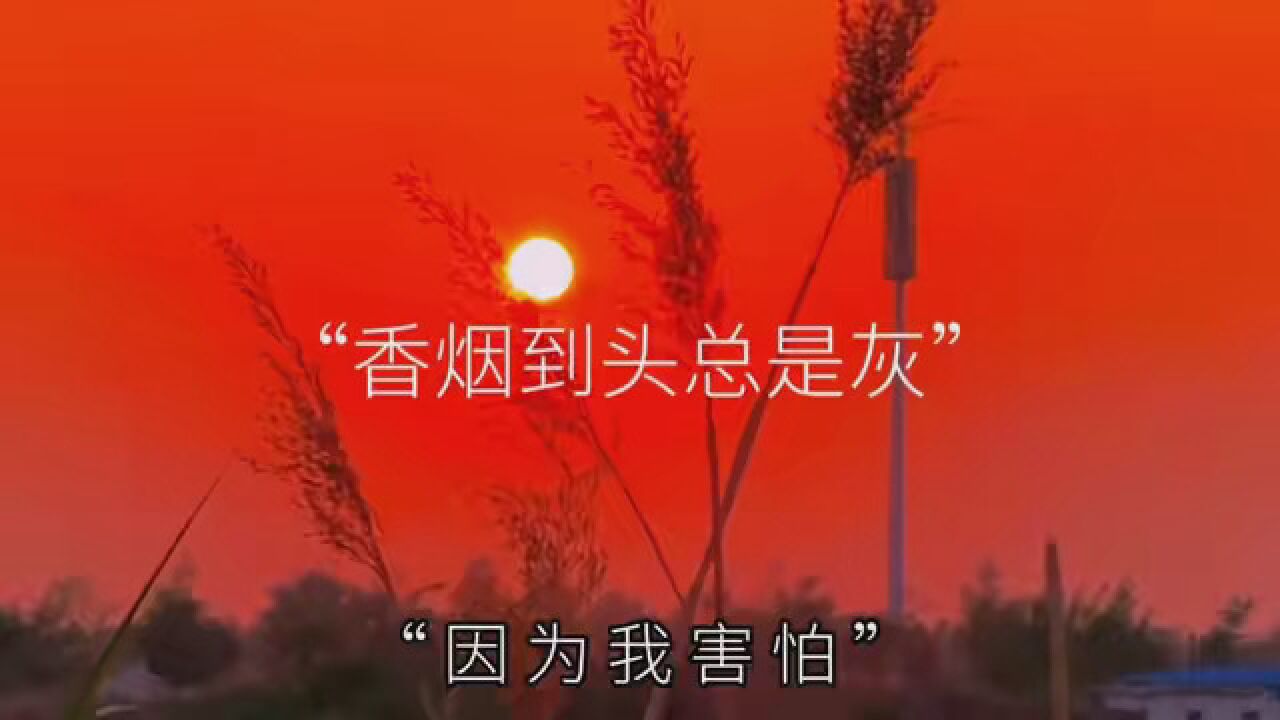 "香烟到头终是灰,故事到头终是悲,无话不说是曾经,无话可说是结果"