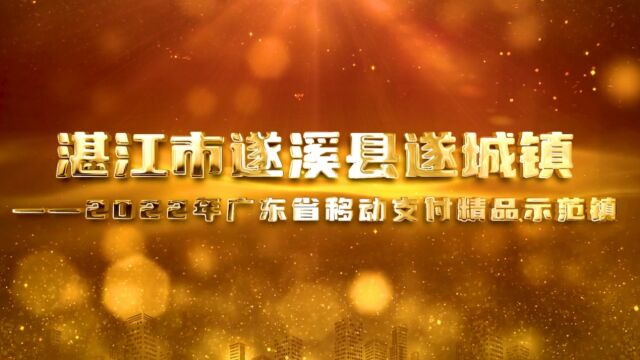 湛江市遂溪县遂城镇2022年广东省移动支付精品示范镇宣传视频