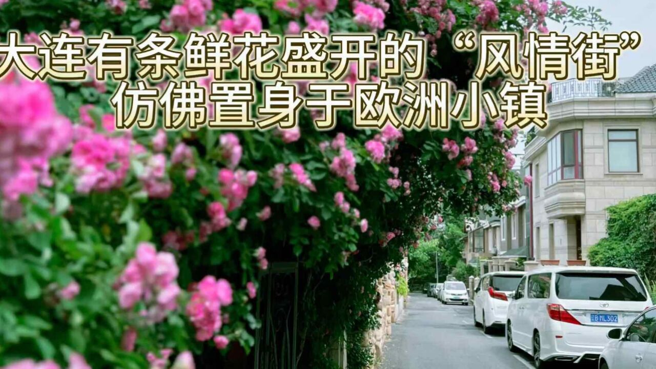 大连鲜花市场(大连市鲜花总汇鲜花批发)