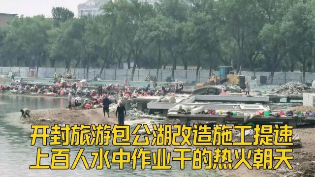 开封包公湖改造施工提速,上百人水中忙“插秧”,现场热闹像赶集