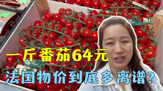 单亲妈妈在法国:法国物价暴涨,一斤番茄竟64元?根本消费不起!