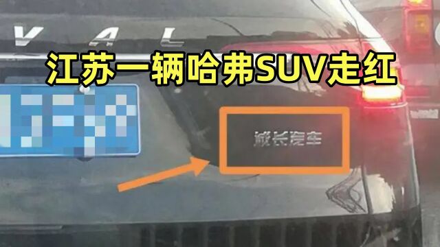 江苏一辆哈弗SUV走红,看见车尾四个字,厂家:求放过