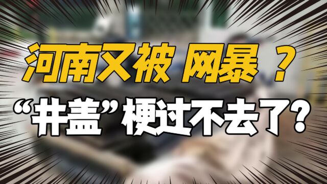 河南再一次被“网暴”?井盖一梗再也过不去了?网友:理性看待