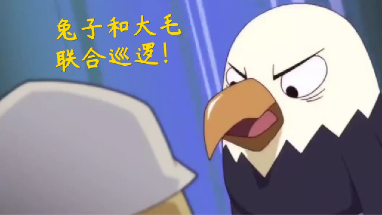 兔子和大毛联合巡逻,南棒要抗议?