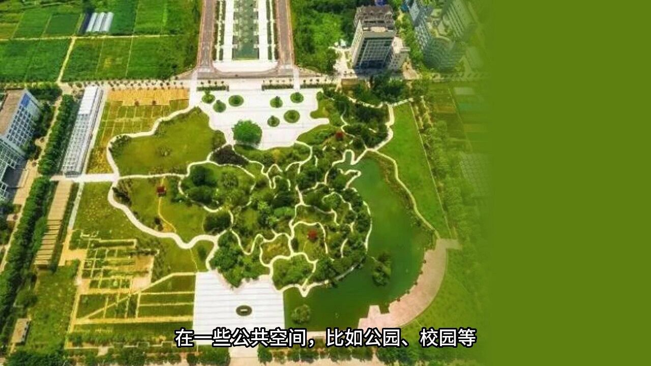 藏在园林空间中的中国地图,有哪些?_高清1080P在线观看平台_腾讯视频