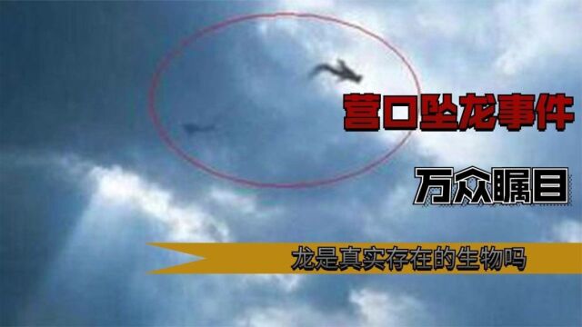 龙是真实存在?万人目睹的“营口坠龙”事件,龙的骨骸从天而降