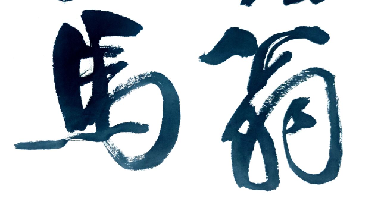 每日书法:古语"塞翁失马,焉知非福"