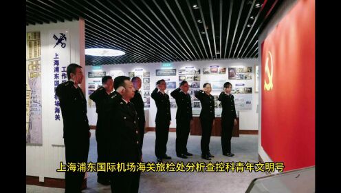 上海浦东国际机场海关旅检处分析查控科青年文明号