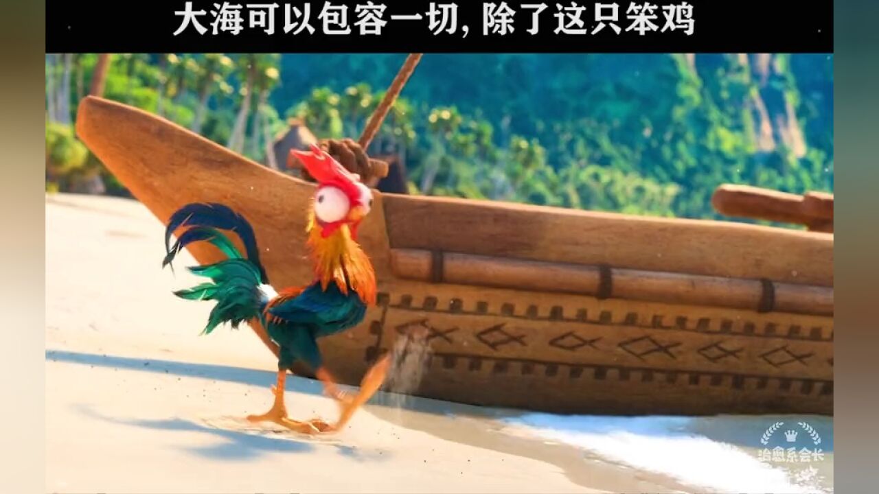 一只连大海都包容不了的憨憨鸡.#治愈 #动漫 #海洋奇缘