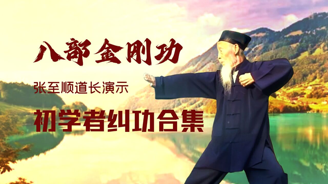 八部金刚功初学者纠功合集张至顺道长讲解演示_高清1080P在线观看平台_腾讯视频