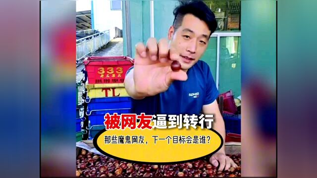 被网友逼到转行是一种什么体验?