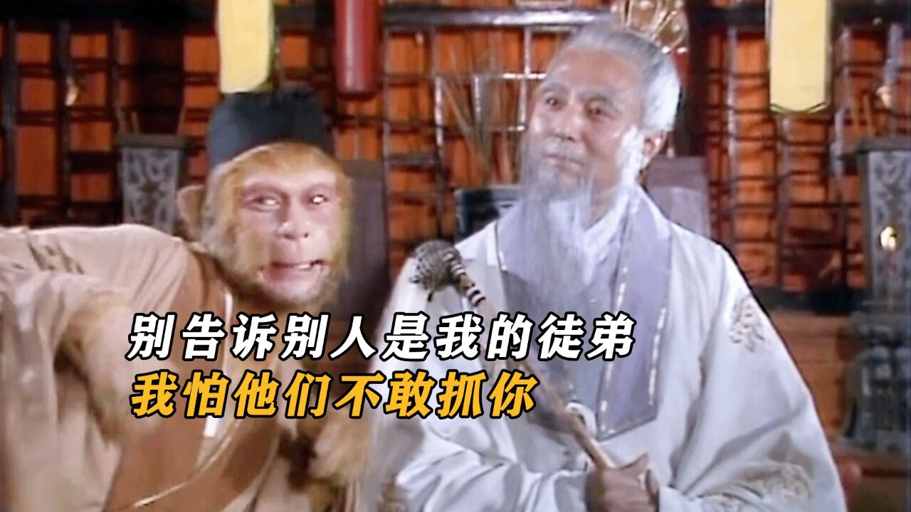 菩提祖师:别告诉别人是我的徒弟,我怕他们不敢抓你