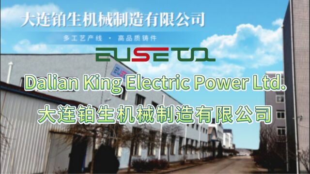 Dalian King Electric Power Ltd.