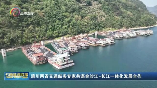 滇川两省交通航务专家共谋金沙江长江一体化发展合作