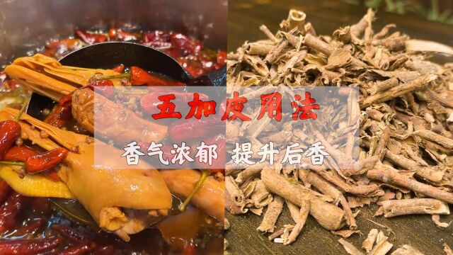 五加皮是一款少见的香料,除了卤水、火锅底料,还有什么用途?