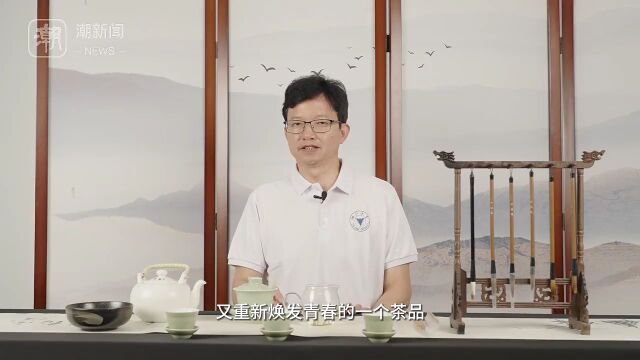 王岳飞:径山茶焕新发力 打造“三茶”统筹发展典范