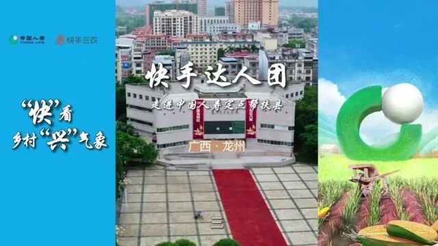 第六届金融业年度品牌案例大赛报送案例展中国人寿“快看乡村兴气象”乡村振兴传播活动