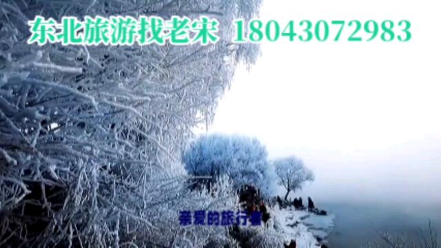 独一无二的仙境之旅——探寻吉林雾凇的神秘之美