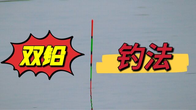 不一样的双铅钓法,让浮漂灵敏度发挥到极致,钓大鱼10拿9稳