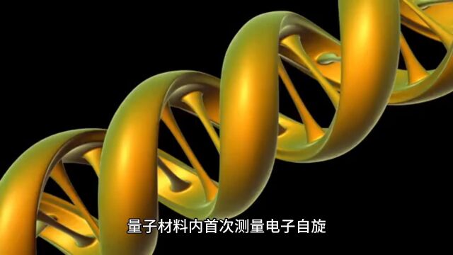 量子材料内首次测量电子自旋