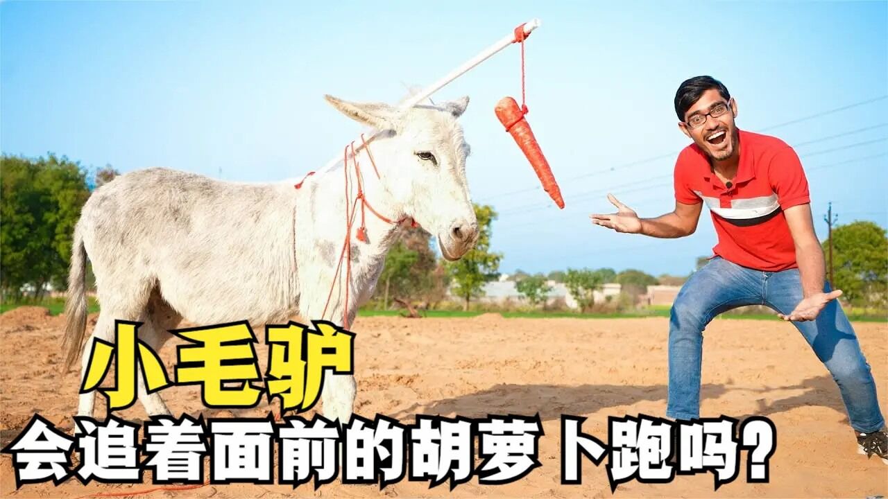 春分吃什么食物好_春分吃什么食物最好_春分吃什么主食好