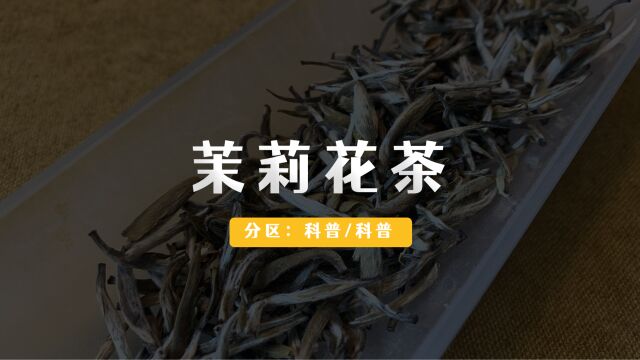 茉莉花茶是不是绿茶?