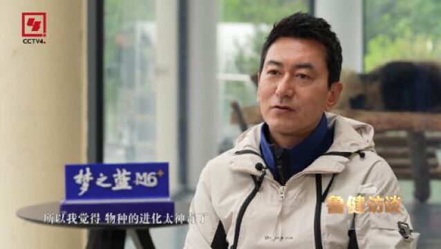 大熊猫为什么能生存800万年?“熊猫院士”用一个词概括