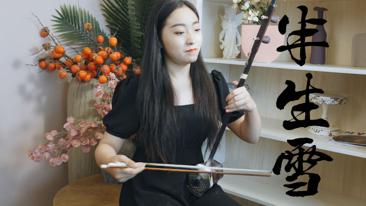 二胡《半生雪》,古风味浓郁,曲调优美,曲意略带忧伤
