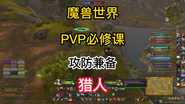 魔兽世界PVP必修课:攻防兼备手猎人