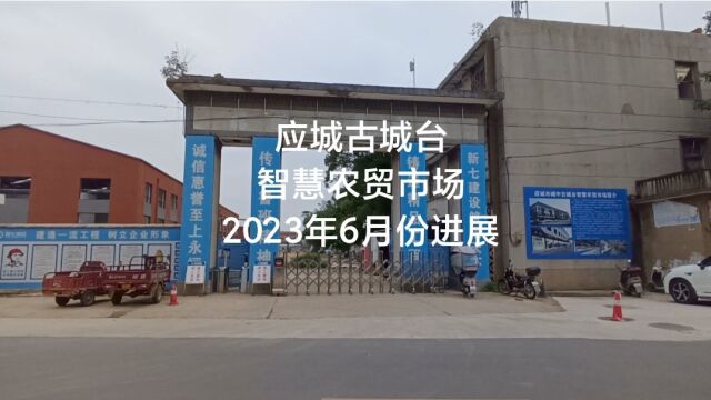 应城古城台智慧农贸市场2023年6月份进展