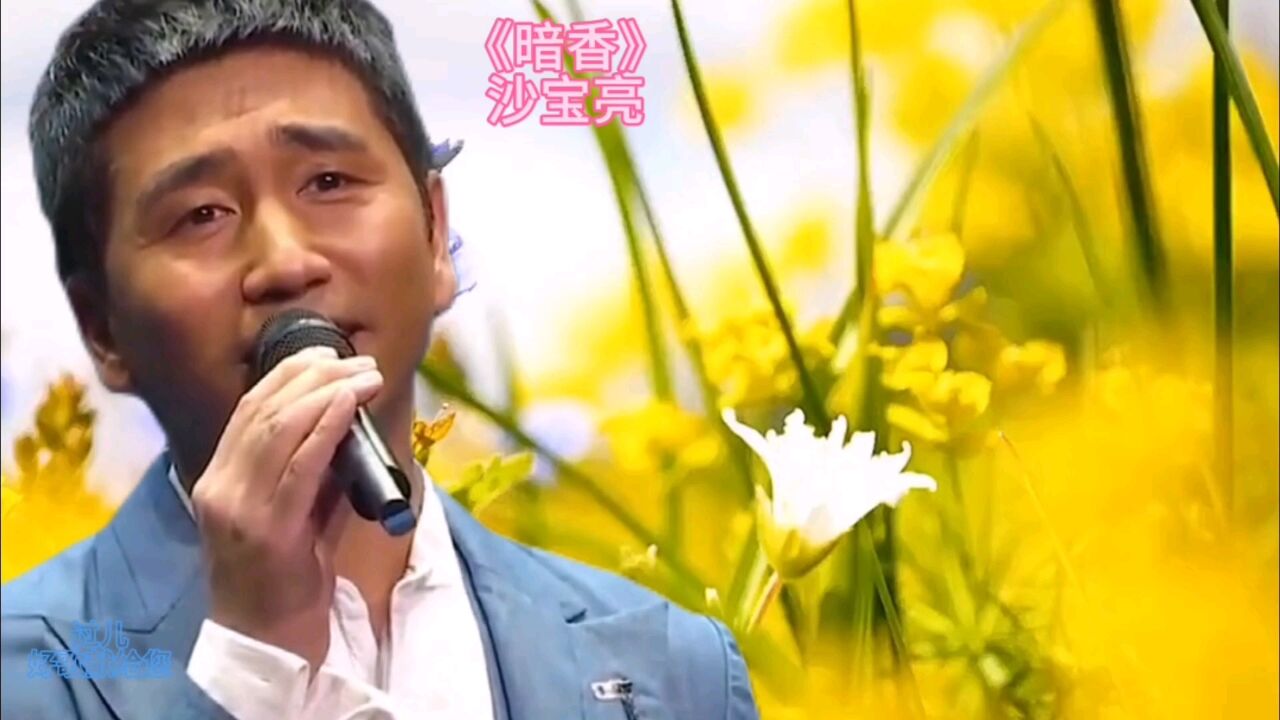 沙宝亮《暗香》是金粉世界主题曲,沙宝亮成名曲,太好听了