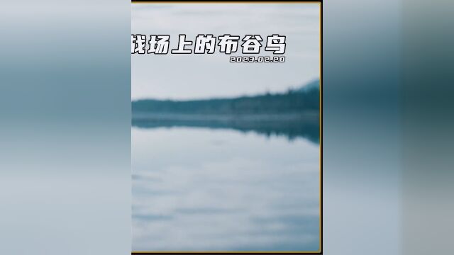 《战场上的布谷鸟》女人圈养两个伤兵充当自己的奴隶,真不可思议3