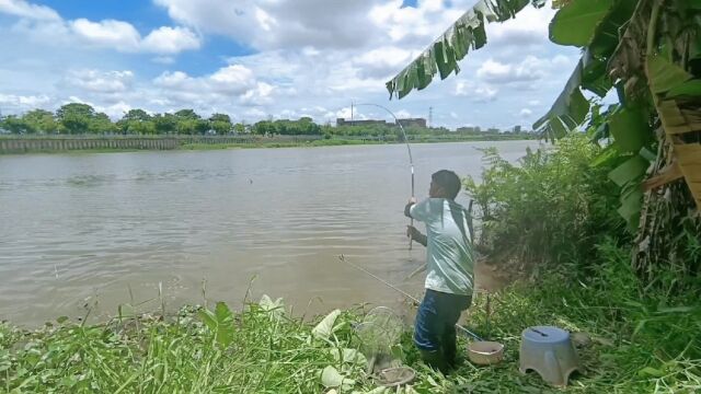 沙河钓鱼:测试新钓杆5H28调杆子很让你怀疑人生,忙半天