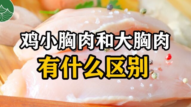 鸡小胸肉和大胸肉有什么区别