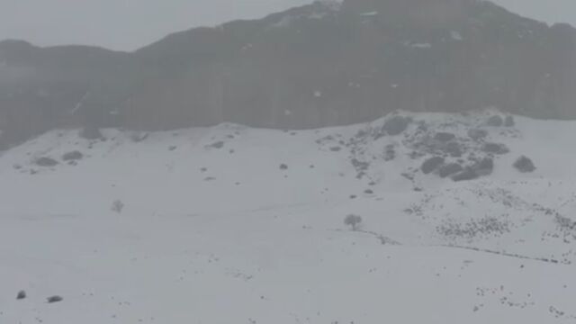 新疆玛纳斯县山区迎大面积降温降雪,牲畜回圈越冬