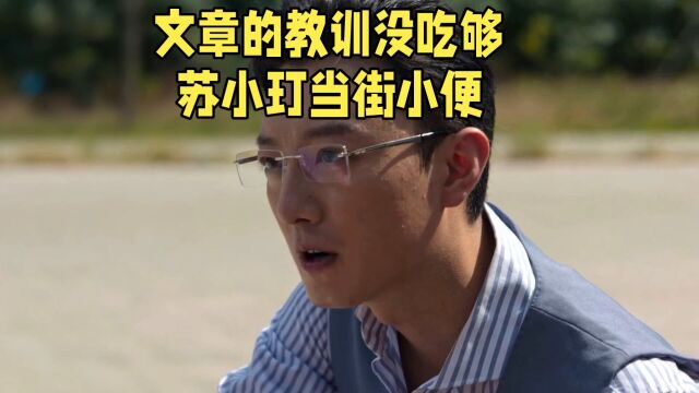 文章的教训没吃够,苏小玎当街小便