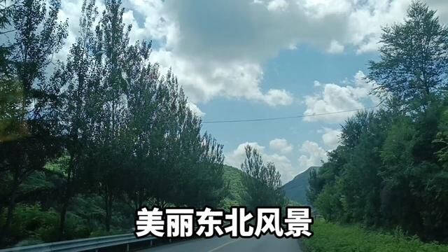 桓仁县境内#大山深处自然美山清水秀好风光 #蓝天白云绿草地这风景太美了 #蓝天白云晴空万里