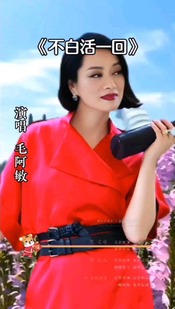《不白活一回》毛阿敏演唱