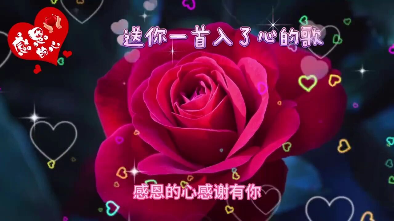 我特别的感谢缘分的安排,让我们相遇!感恩陪伴!