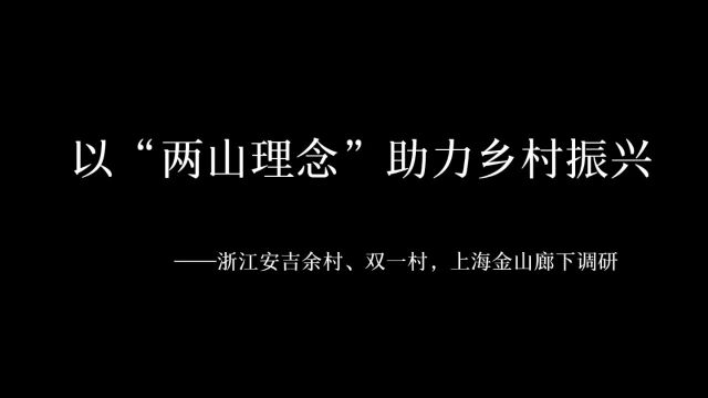 两山转化的中国智慧——乡村篇