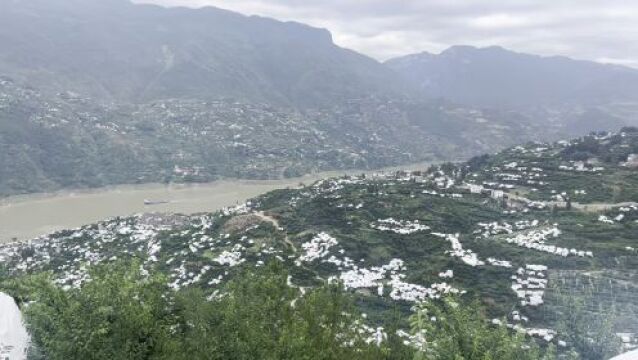 当“限定”脆李遭遇巫山云雨!看气象部门如何助力应对