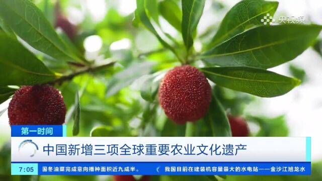 中国新增三项全球重要农业文化遗产